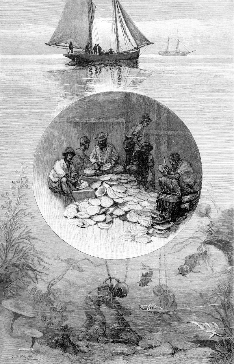 Pearl Fishery, Torres Strait, Australien, 1886 af Unbekannt