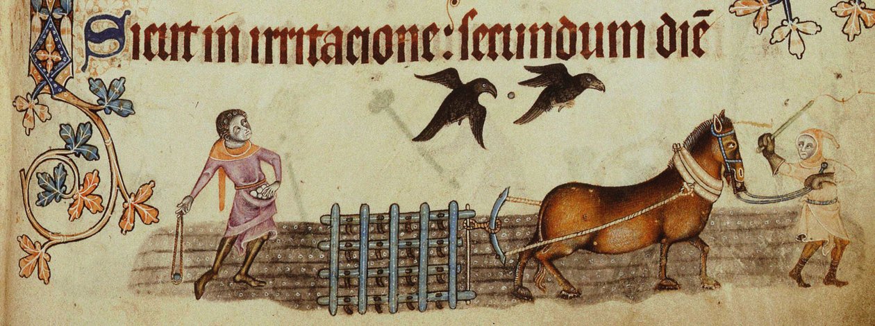 Bønder pløjer fra Luttrell Psalter, ca 1330 af Unbekannt