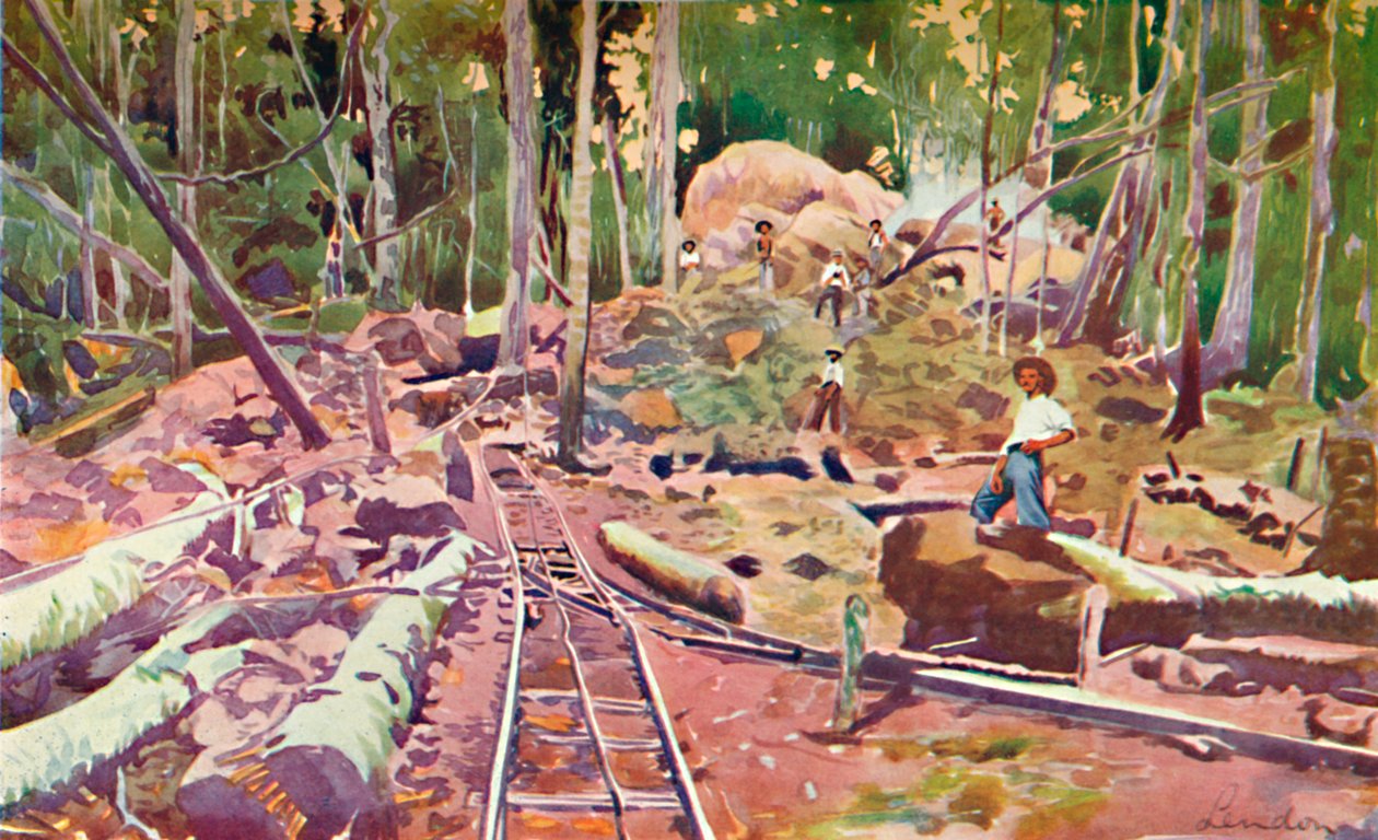 Gennemtrænger Amazonaskoven - Madeira-Mamoré jernbane, 1914 af Unbekannt
