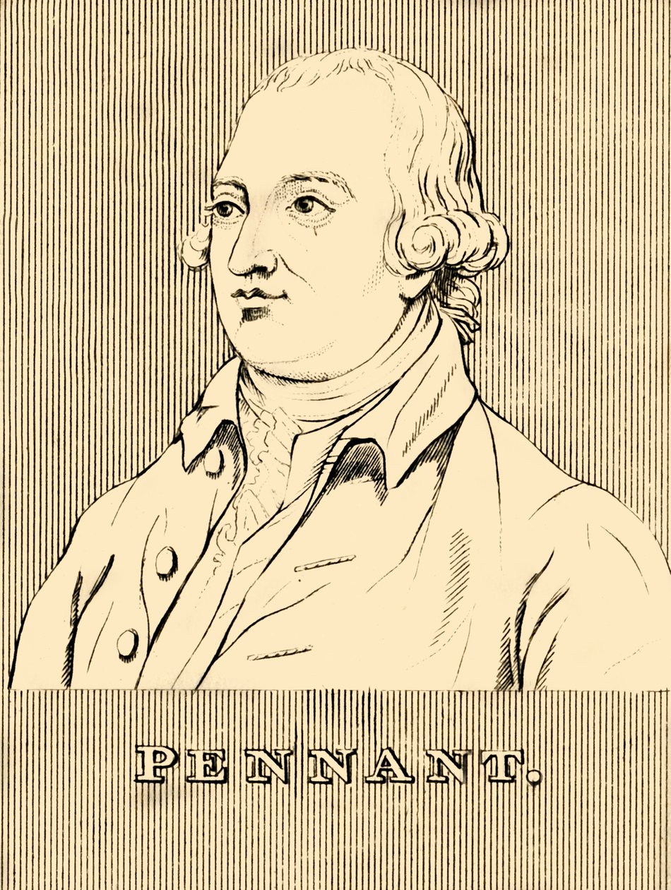 Vimpel, 1726-1798, 1830. af Unbekannt