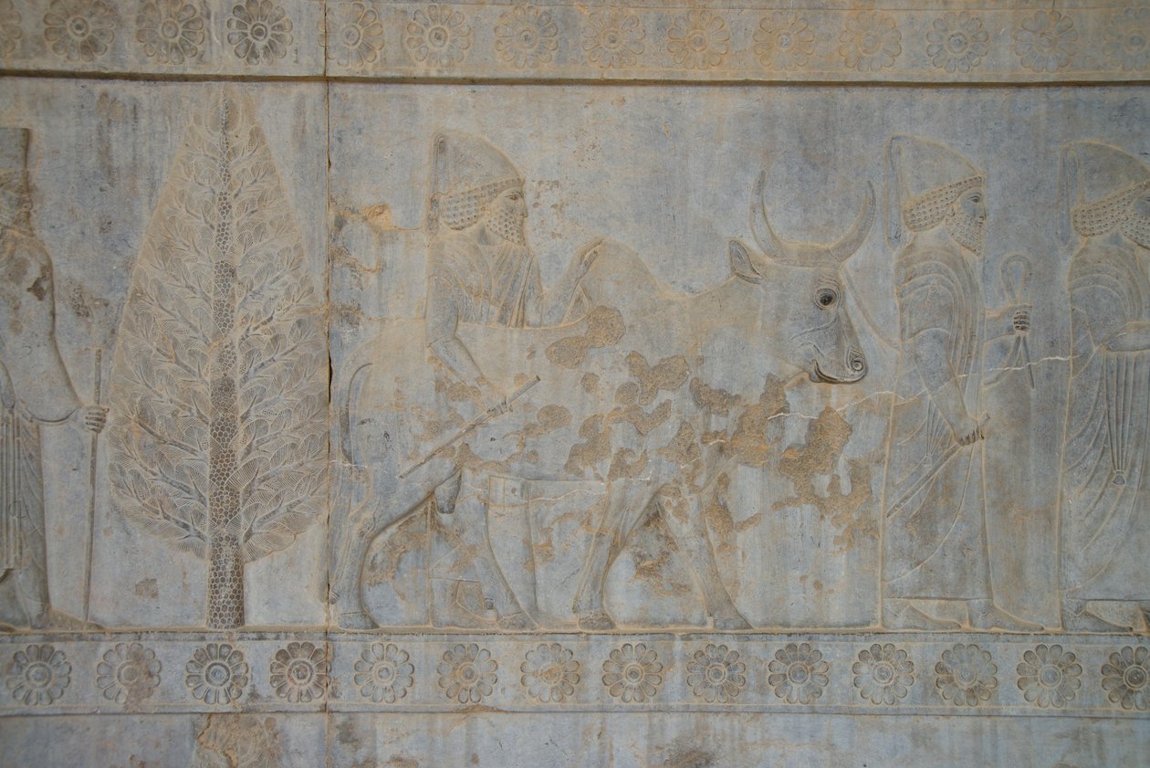 Persepolis, Iran (foto) af Unbekannt