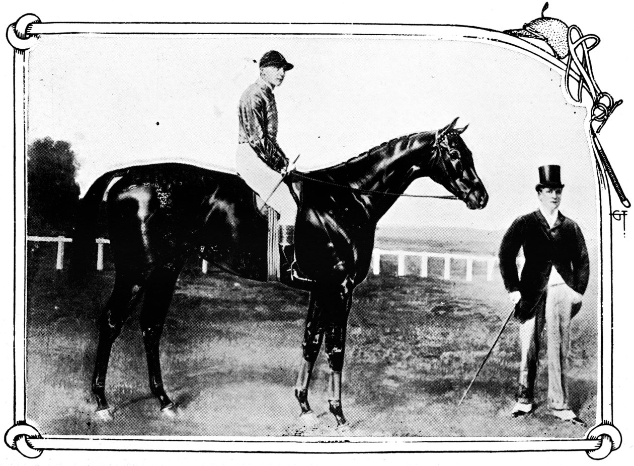 Persimmon, 1911 af Unbekannt