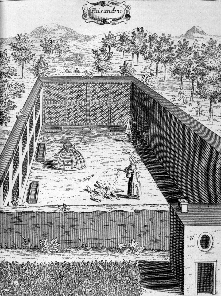 Fasaneriet, 1775 af Unbekannt