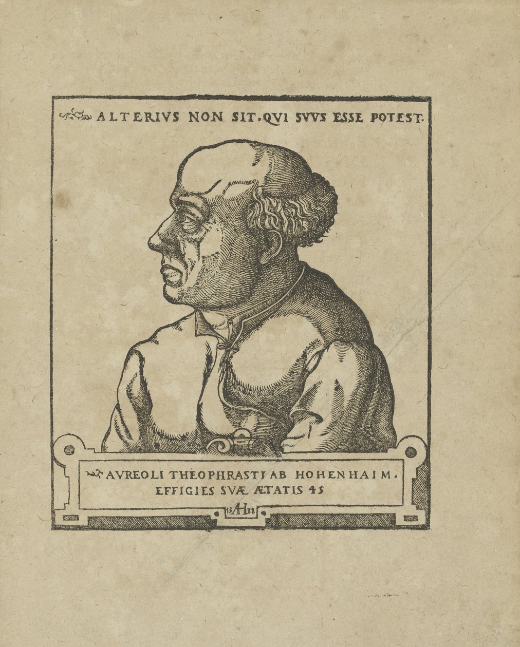 Philippus Theophrastus Aureolus Bombastus von Hohenheim Paracelsus, ca 1538. af Unbekannt
