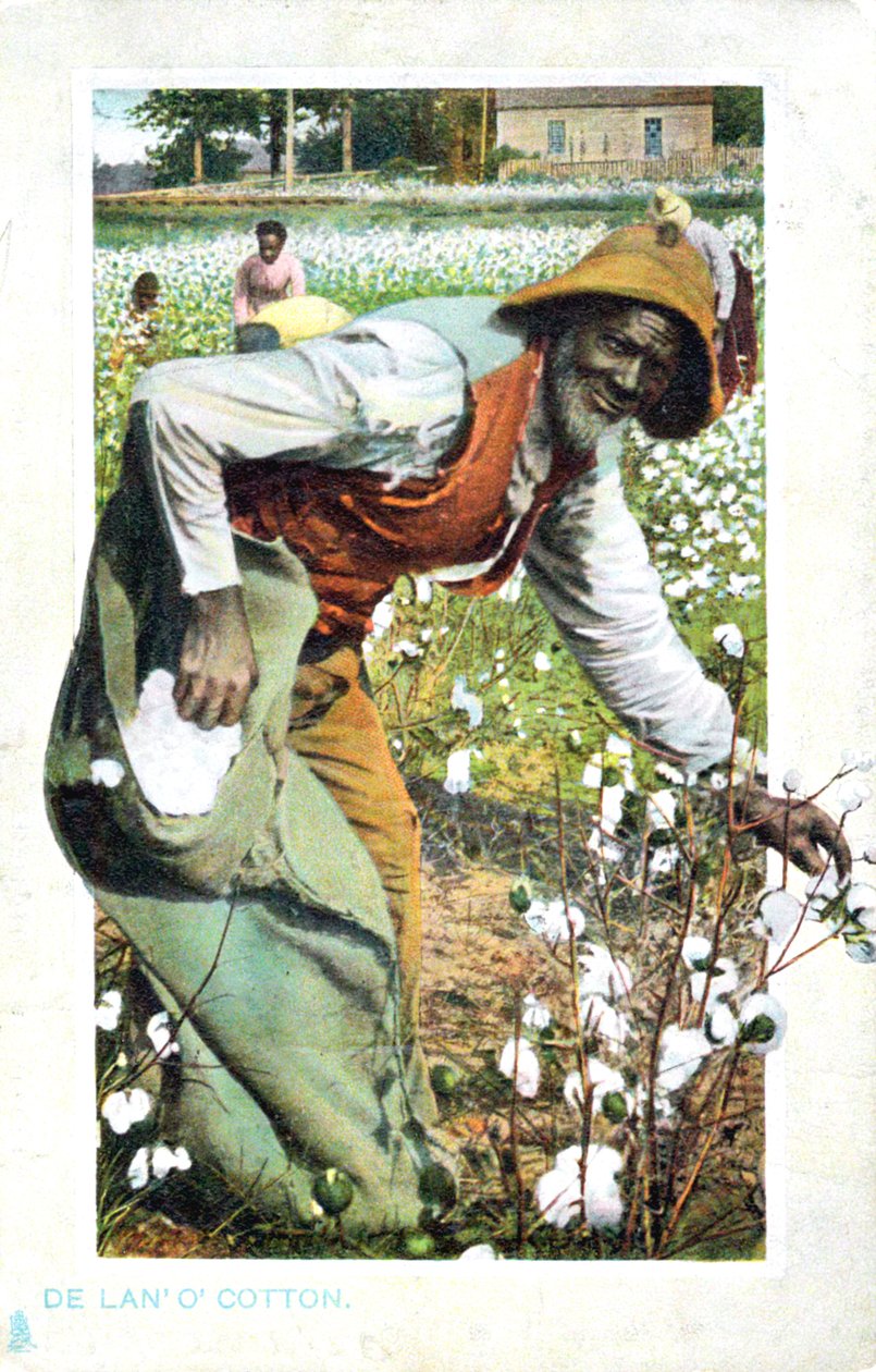 Plukker bomuld, USA, postkort, c1900 af Unbekannt