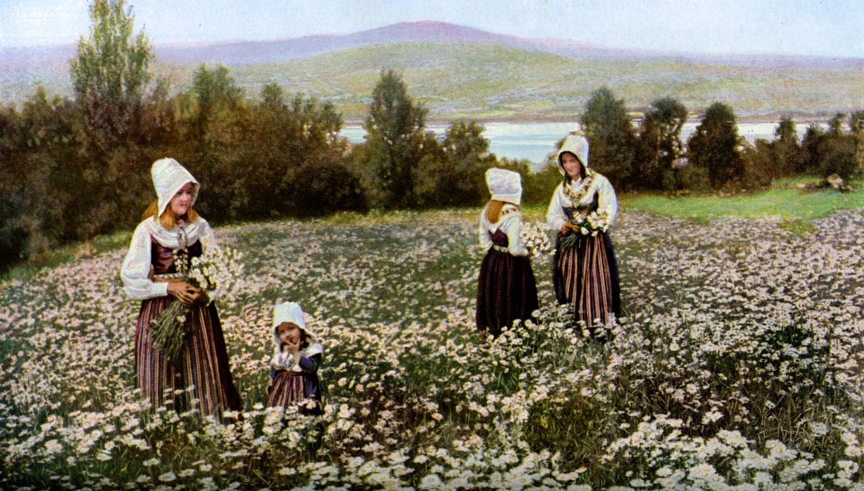 Plukker blomster på en eng nær Leksand, Sverige, c1923 af Unbekannt
