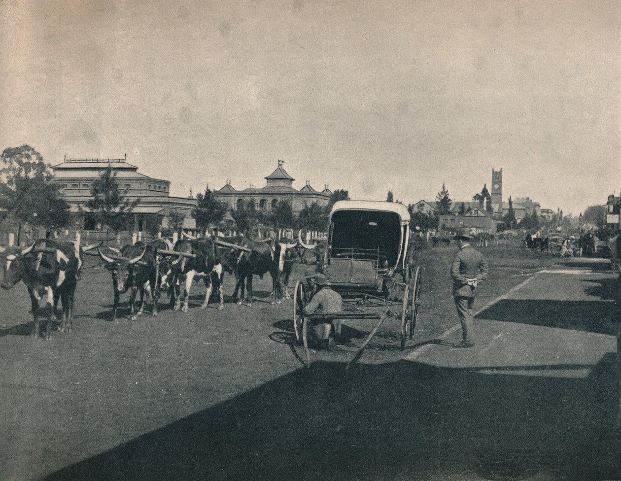 Pietermaritzburg, ca. 1900. af Unbekannt