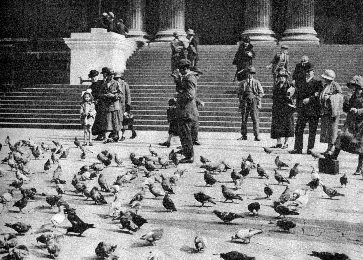 Duer på Trafalgar Square, London, 1926-1927 af Unbekannt