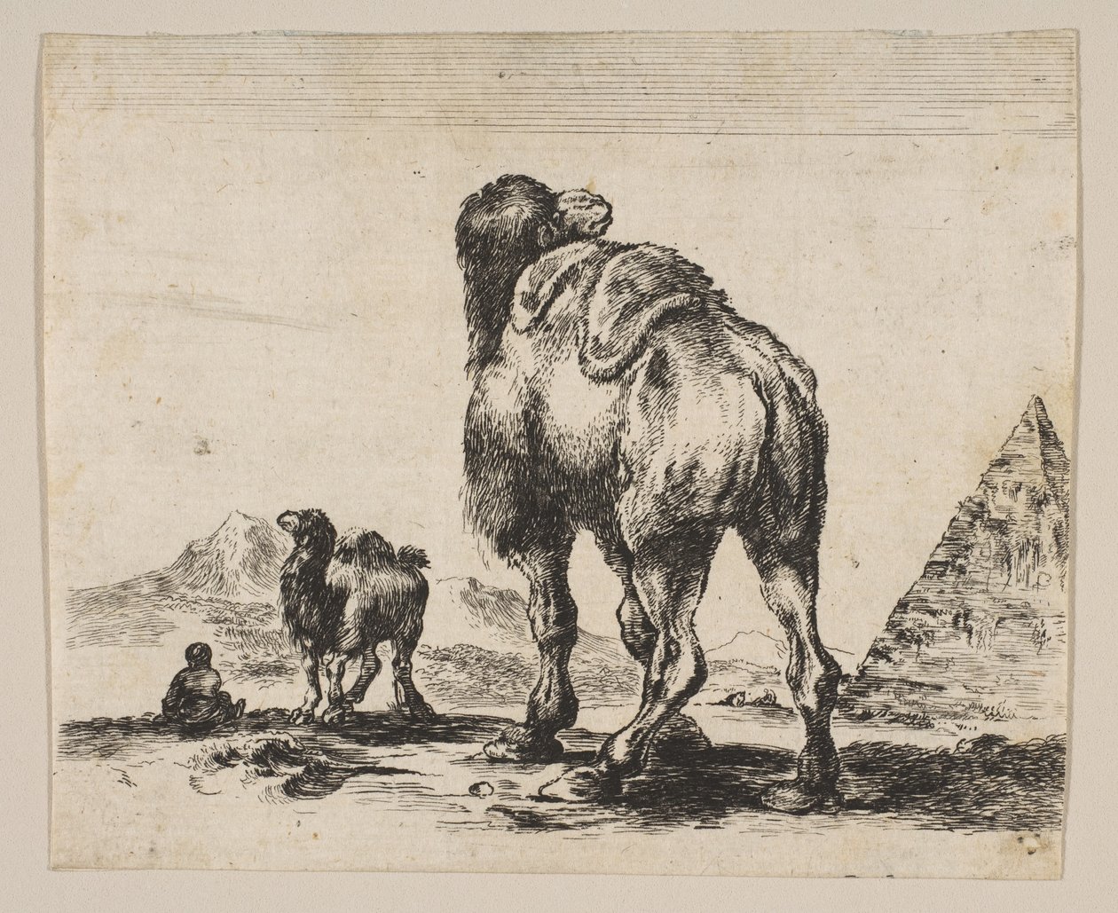 Plade 18: Kamel set bagfra med pyramide til højre, fra Forskellige dyr Di..., efter 1641. af Unbekannt