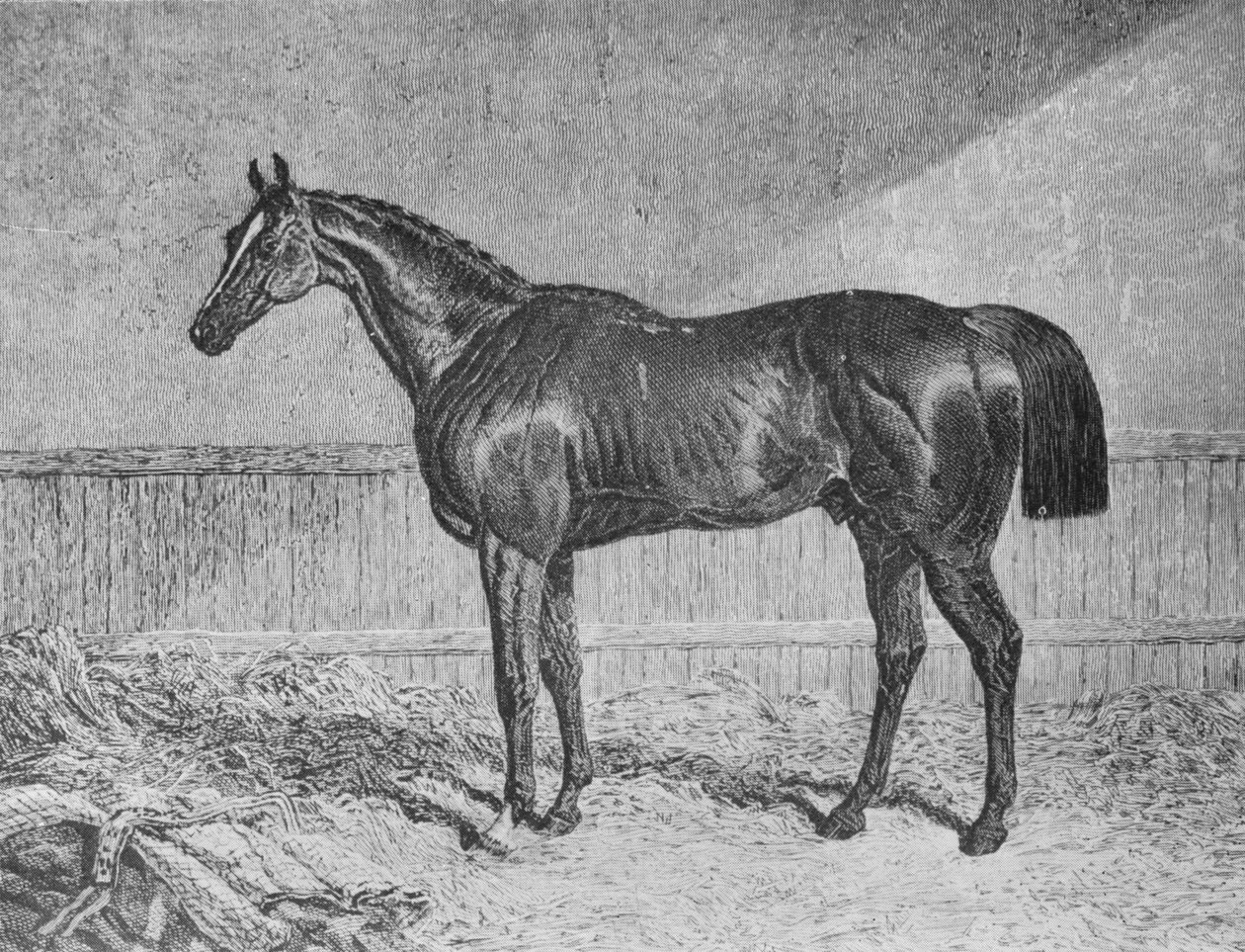 Fuldmægtig, 1831-1854, 1911 af Unbekannt