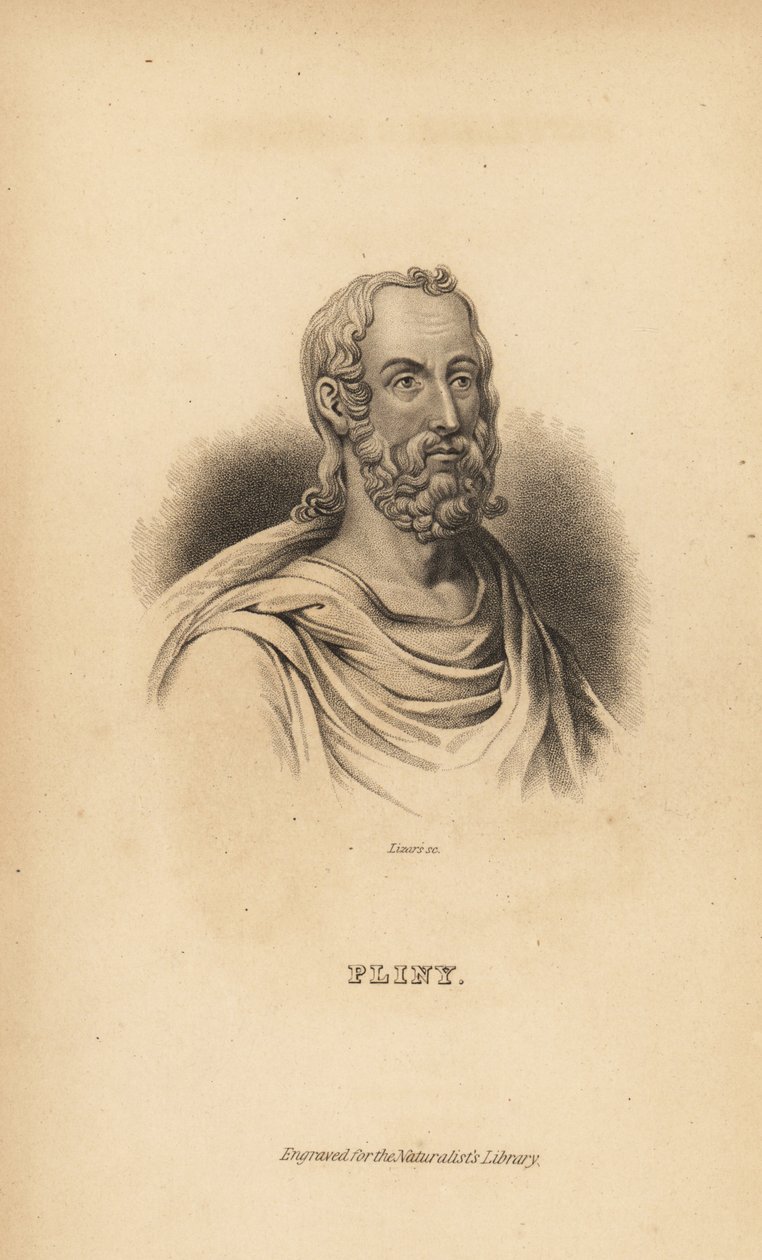 Plinius den Ældre, Gaius Plinius Secundus, romersk forfatter, naturforsker og naturfilosof, AD23-79 af Unbekannt