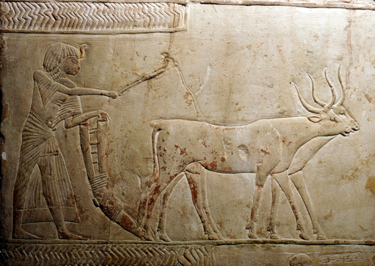 Pløjning fra en egyptisk stel, 18. dynasti, 1332-1323 f.Kr. af Unbekannt
