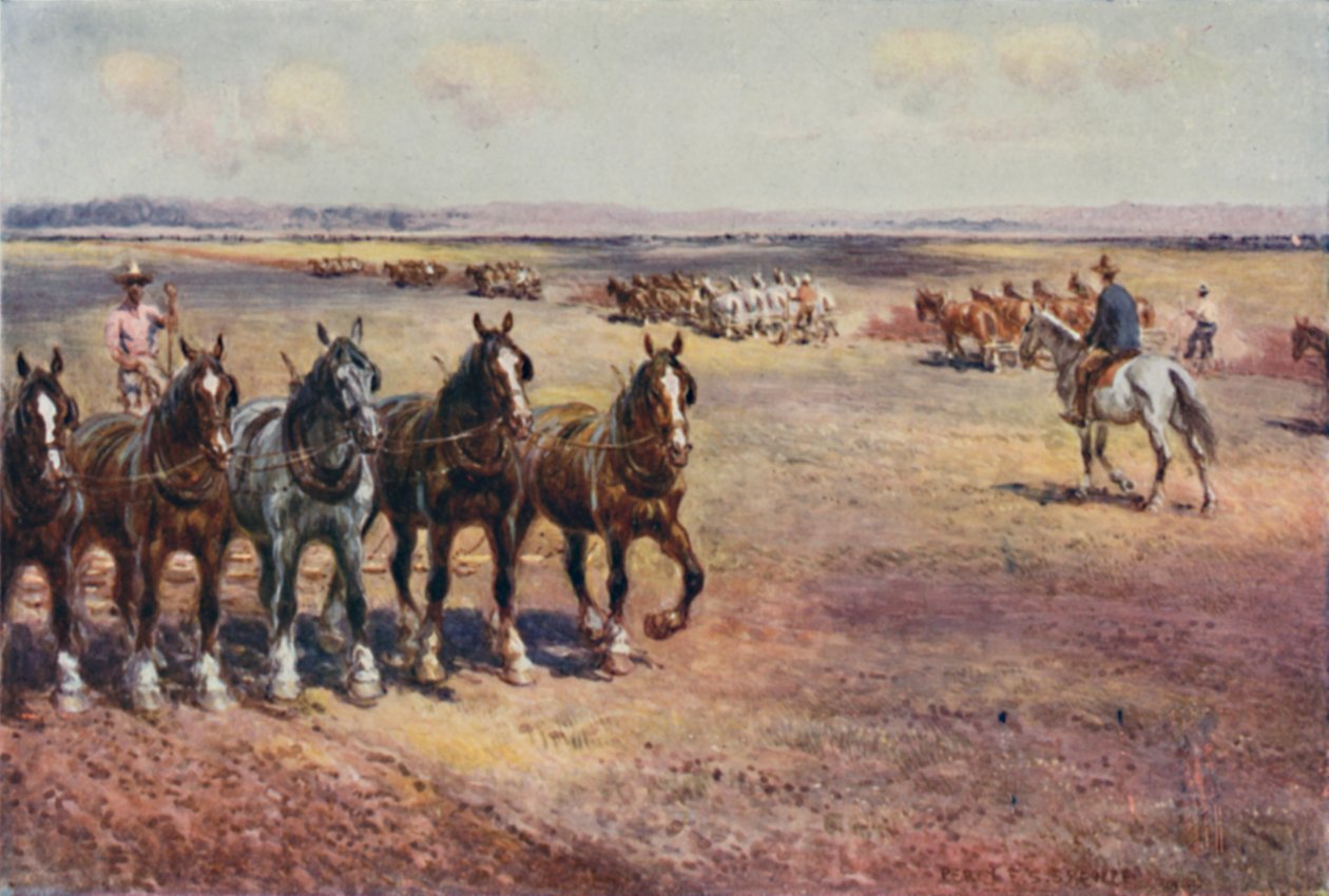 Pløjning i stor skala, 1923. af Unbekannt