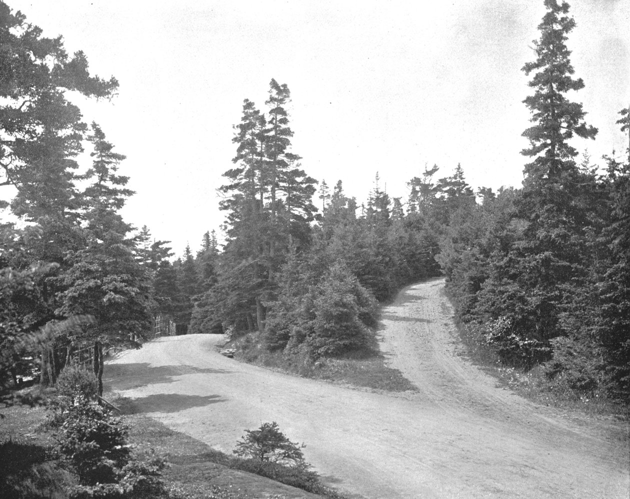 Point Pleasant Park, Halifax, Nova Scotia, Canada, c1900. af Unbekannt