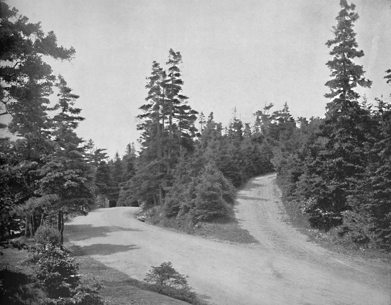 Point Pleasant Park, Halifax, Nova Scotia, c1897. af Unbekannt