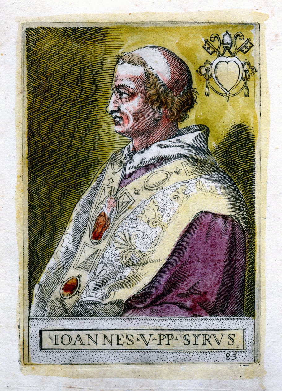Pave Johannes V af Unbekannt