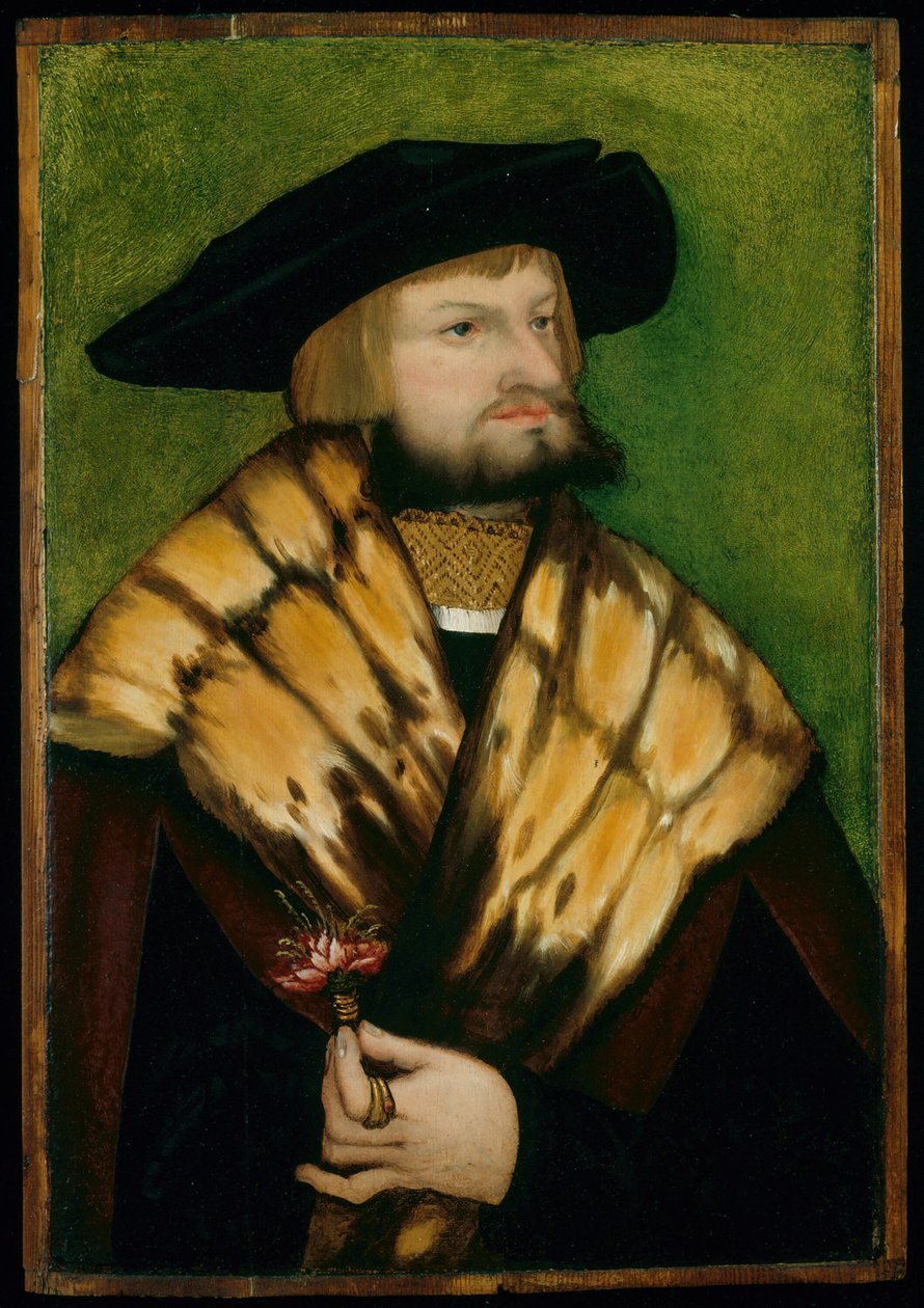 Portræt af Leonhard Fuchs, 1525. af Unbekannt