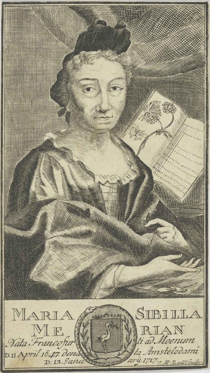 Portræt af Maria Sibylla Merian 1647-1717, 1755. af Unbekannt