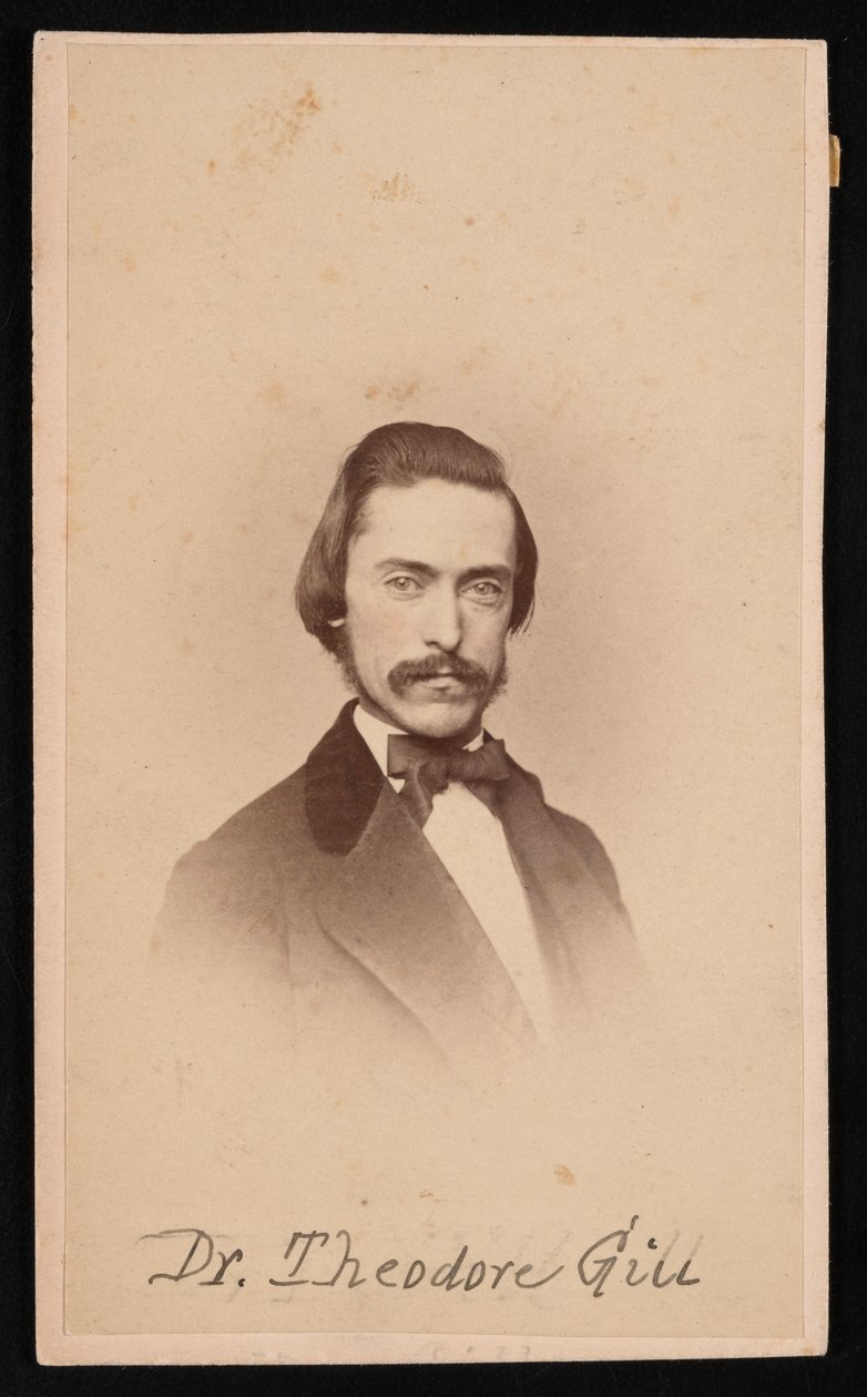Portræt af Theodore Nicholas Gill 1837-1914, omkring 1860