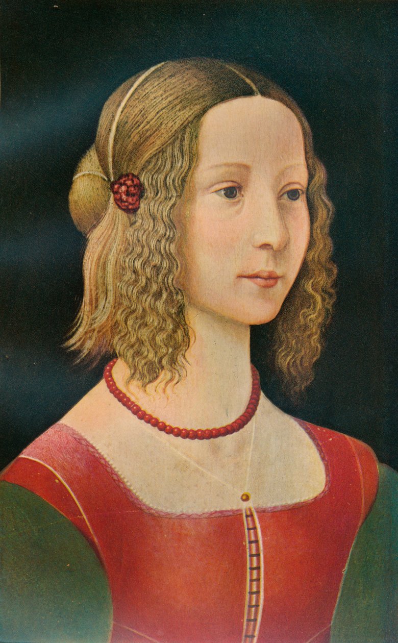 Portræt af en pige, c1490, 1911 af Unbekannt