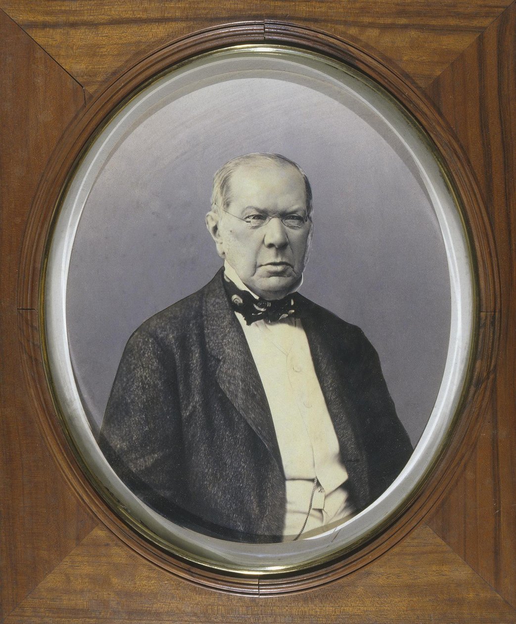 Portræt af digteren Prins Pyotr A. Vyazemsky 1792-1878, 1860