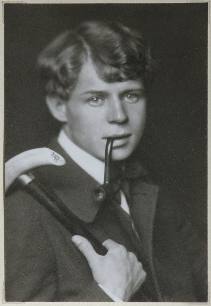 Portræt af digteren Sergei Yesenin 1895-1925, 1919 af Unbekannt
