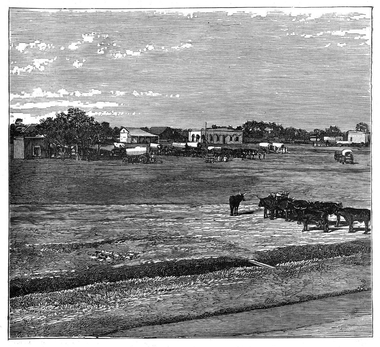 Potchefstroom, Transvaal, Sydafrika, c1890 af Unbekannt