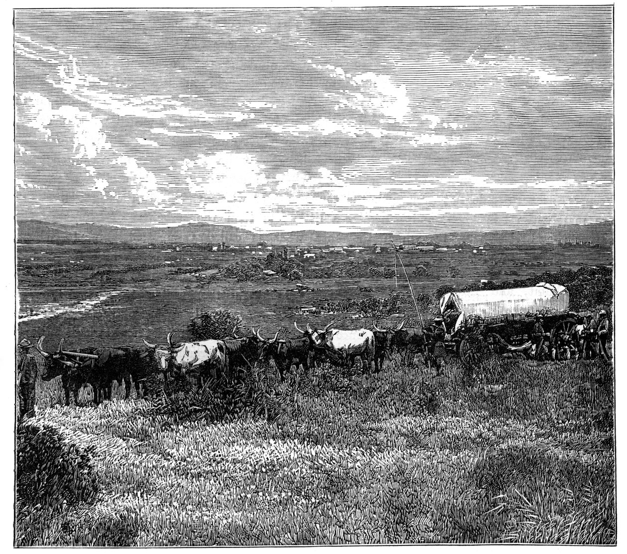 Pretoria, Sydafrika, c1890 af Unbekannt