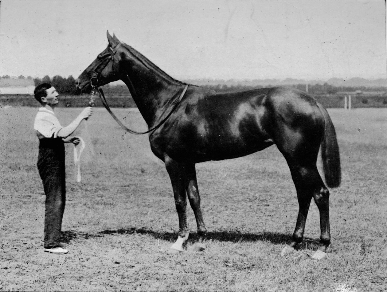 Pretty Polly, 1901-1931, 1911 af Unbekannt