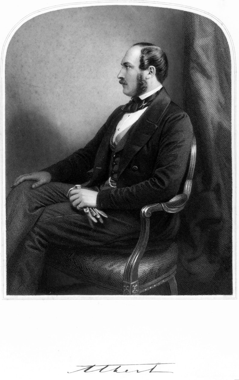 Prins Albert, konsort af dronning Victoria, c 1850-1859 af Unbekannt