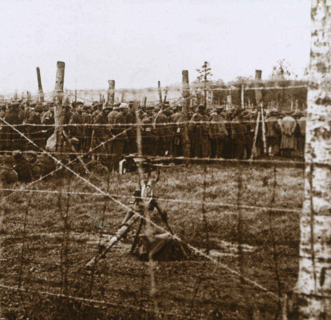 Fanger ved Le Mort Homme, Dead Mans Hill, Nordfrankrig, c1914-c1918 af Unbekannt