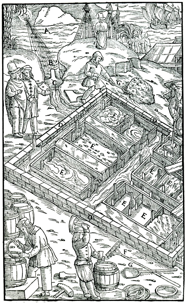Fremstilling af salt ved at fordampe havvand i saltpander, 1556 af Unbekannt