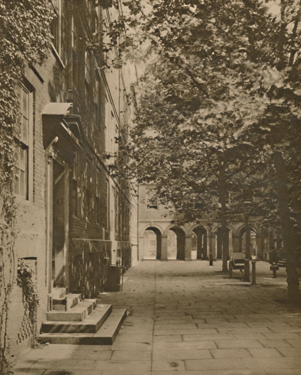 Pumpebane i sin sommerbeklædning af blade og sollys, c1935. af Unbekannt