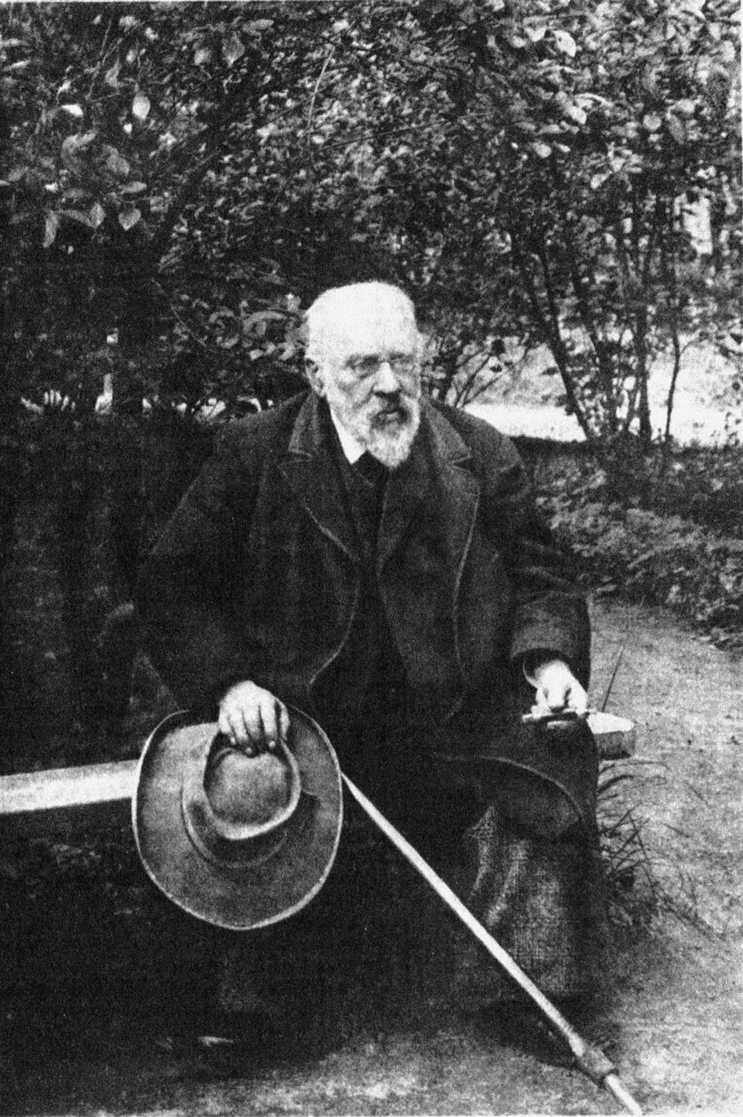 Pjotr ​​Ivanovich Bartenev 1829-1912, 1900-tallet af Unbekannt