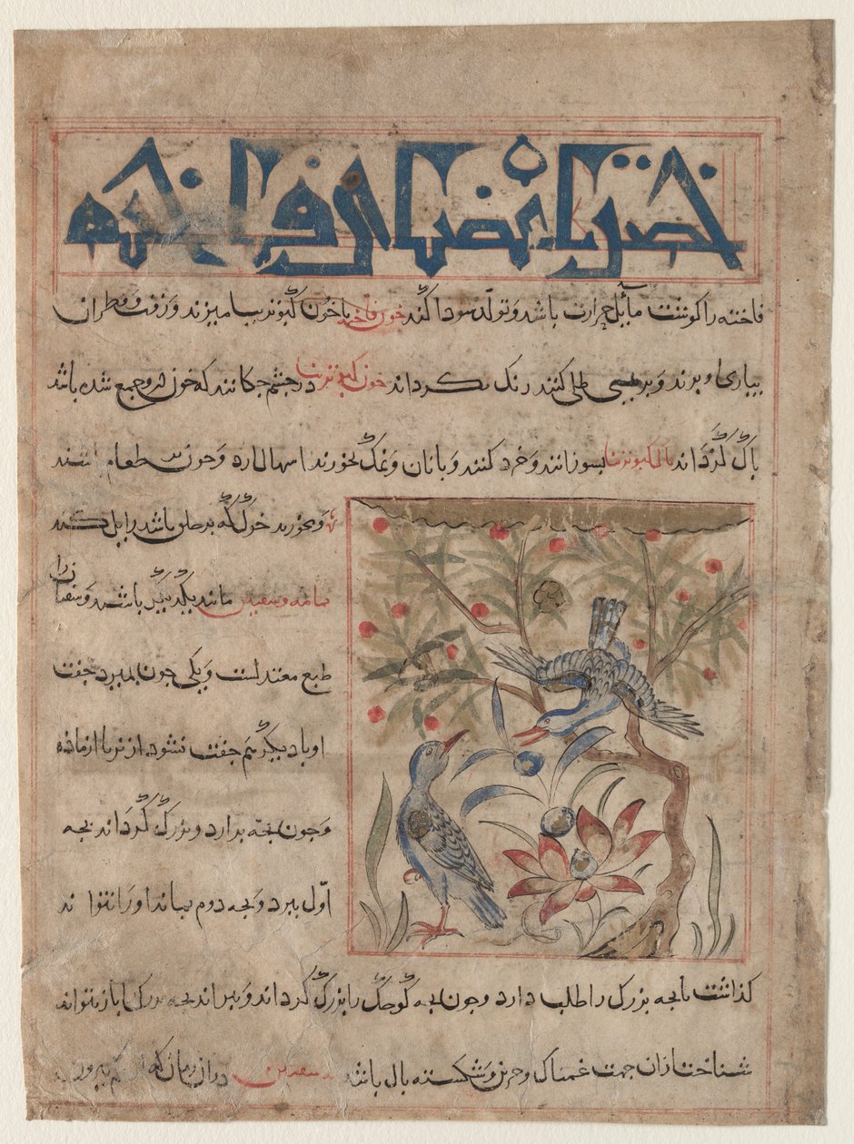 Kvaliteter af Ringdoves recto, Om fordelene ved vagtler verso..., ca. 1300. af Unbekannt