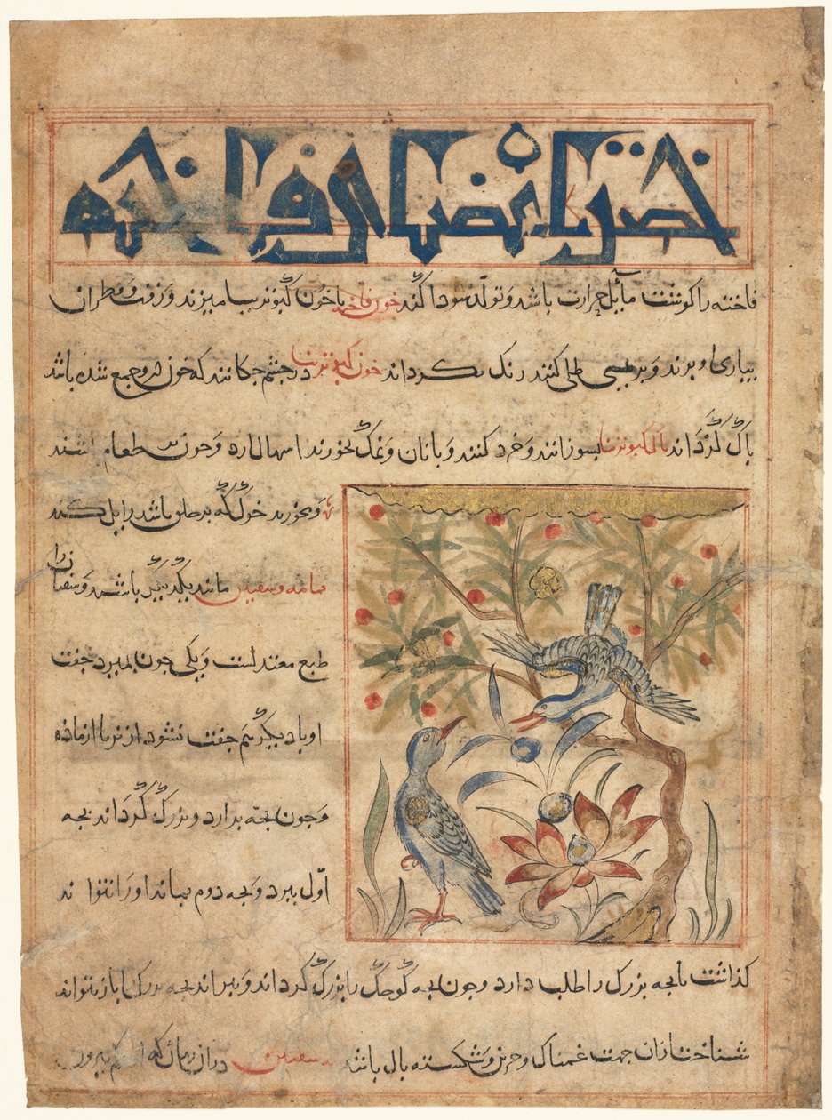 Egenskaber af Ringdoves recto fra en Manafi al-Hayawan om dyrenes brugbarhed, ca. 1300. af Unbekannt