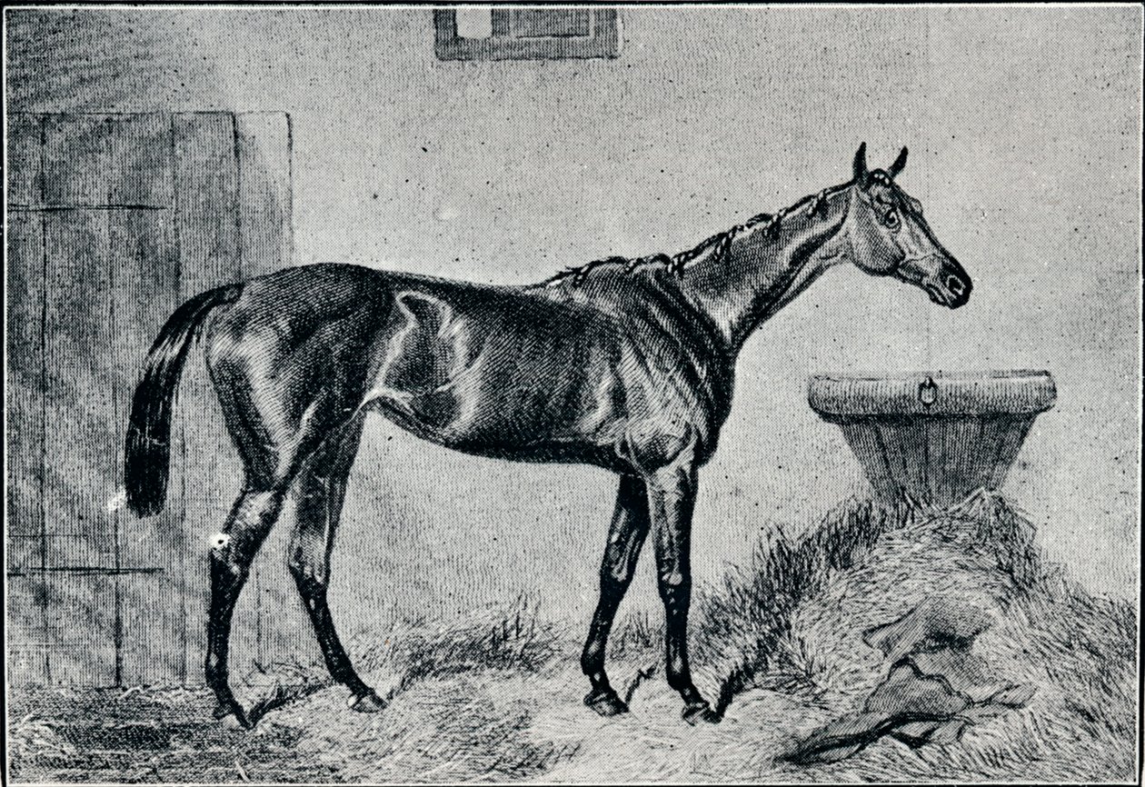 Dronning Bertha, 1800-tallet, 1911 af Unbekannt