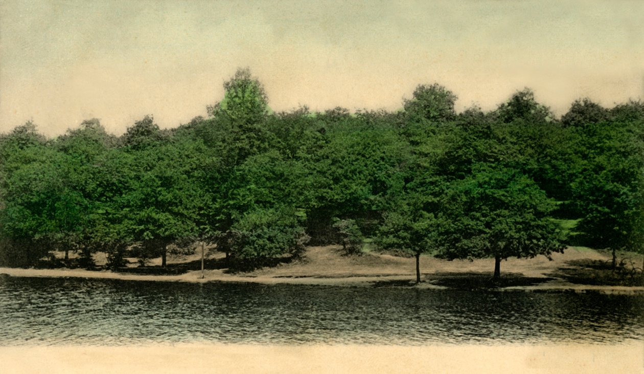 Queensmere, Wimbledon Common, London, 1903. af Unbekannt