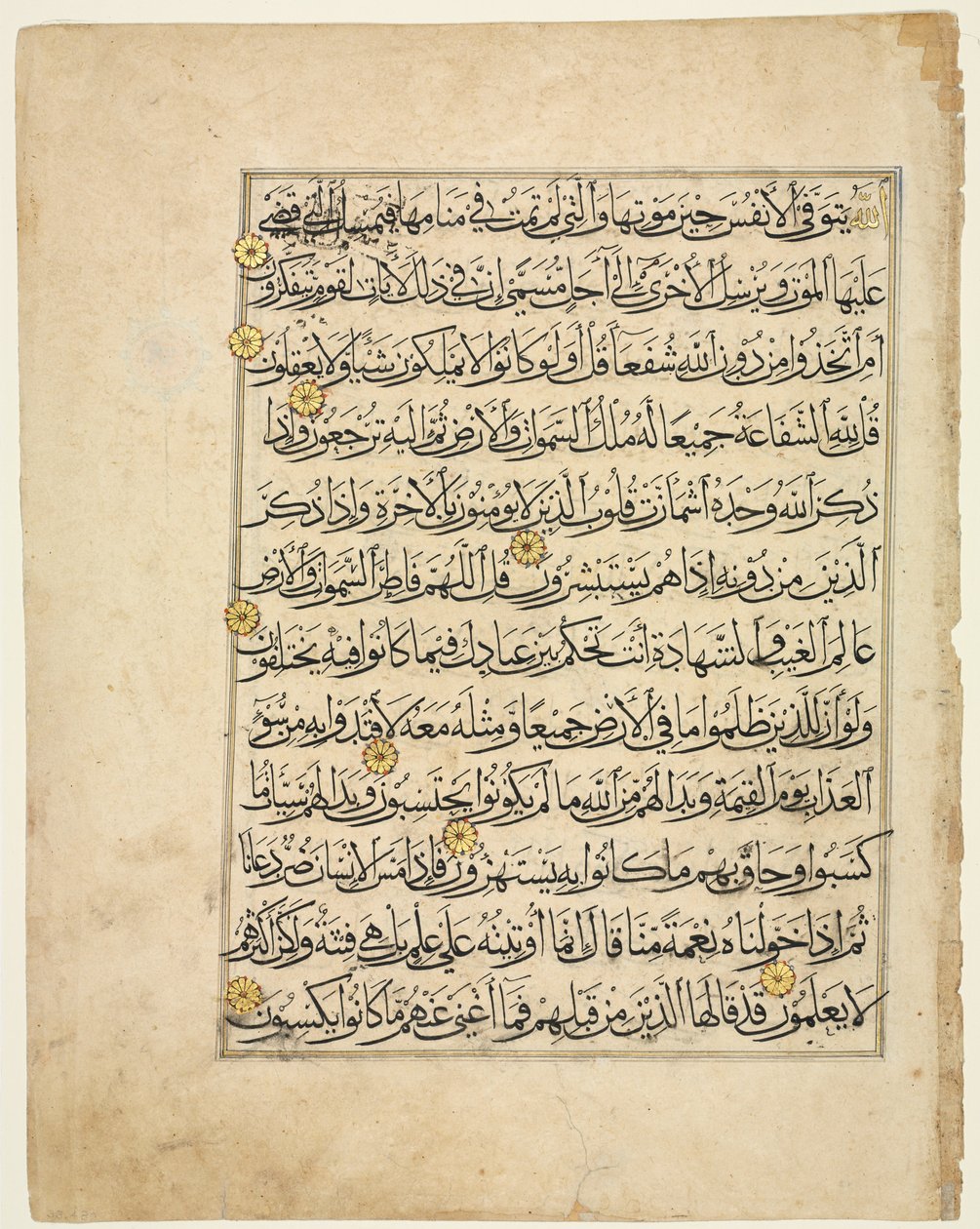 Koranmanuskriptfolio, 1300-tallet. af Unbekannt