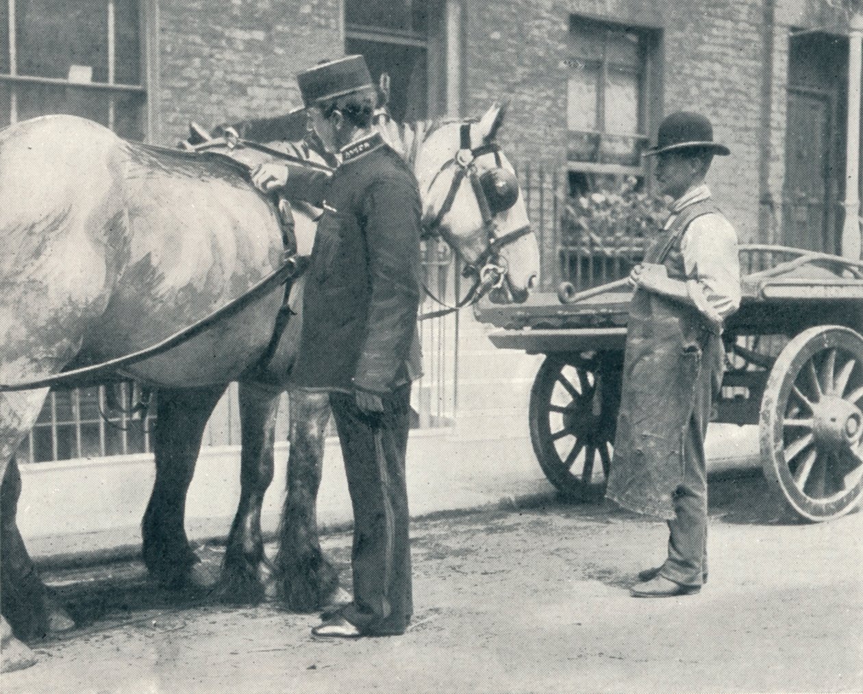 RSPCA-inspektør undersøger en hest, c1903 1903 af Unbekannt