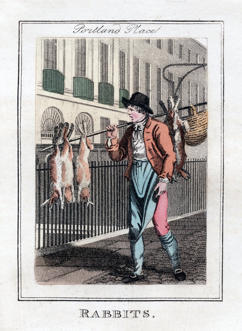 Kaniner, Portland Place, London, 1805 af Unbekannt