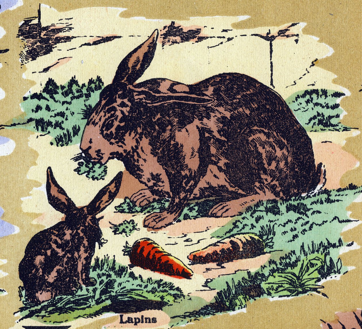 Kaniner og gulerødder. Illustreret alfabet. Billeder genforenet i Jarville-Nancy, begyndelsen af det 20. århundrede. Mål: 40 x 29 cm. Litografi på bistre baggrund af Unbekannt
