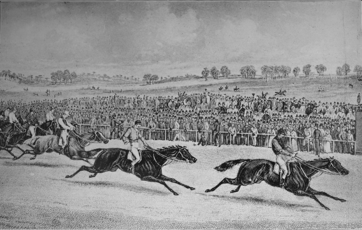 Race for St. Leger, 1911 af Unbekannt