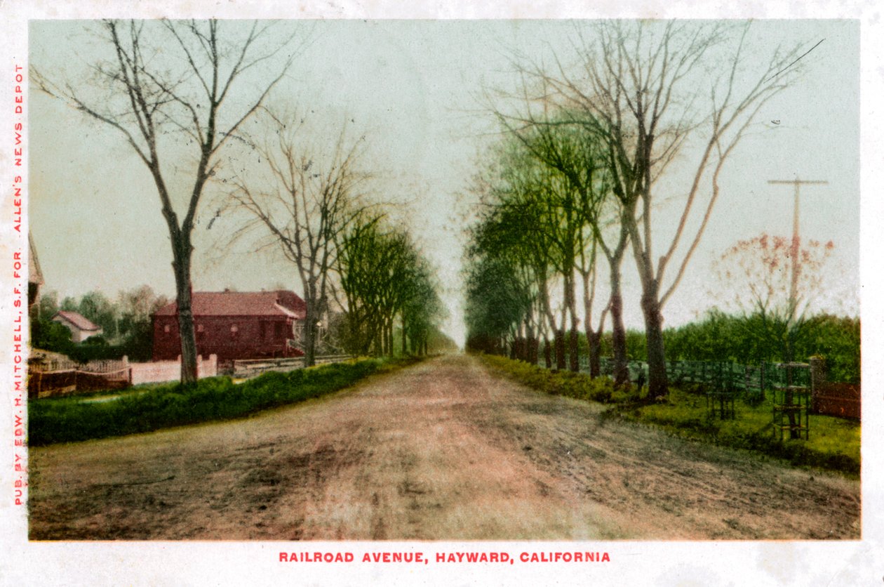 Railroad Avenue, Hayward, Californien, 1905 af Unbekannt