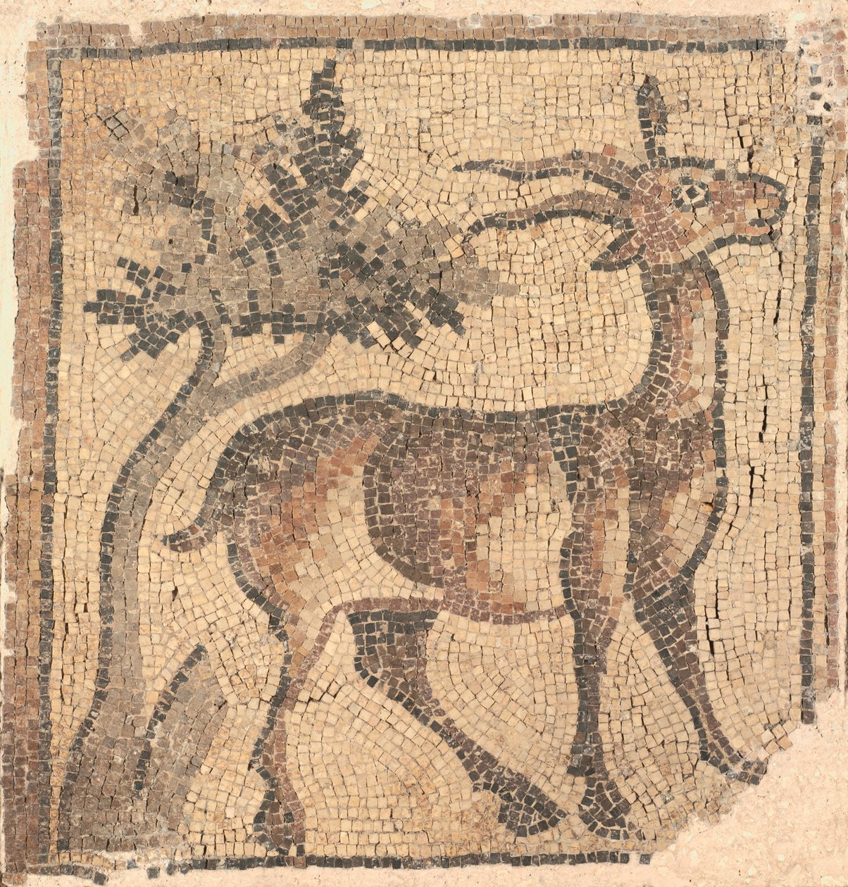 Ram nær et træ, 400-tal. af Unbekannt