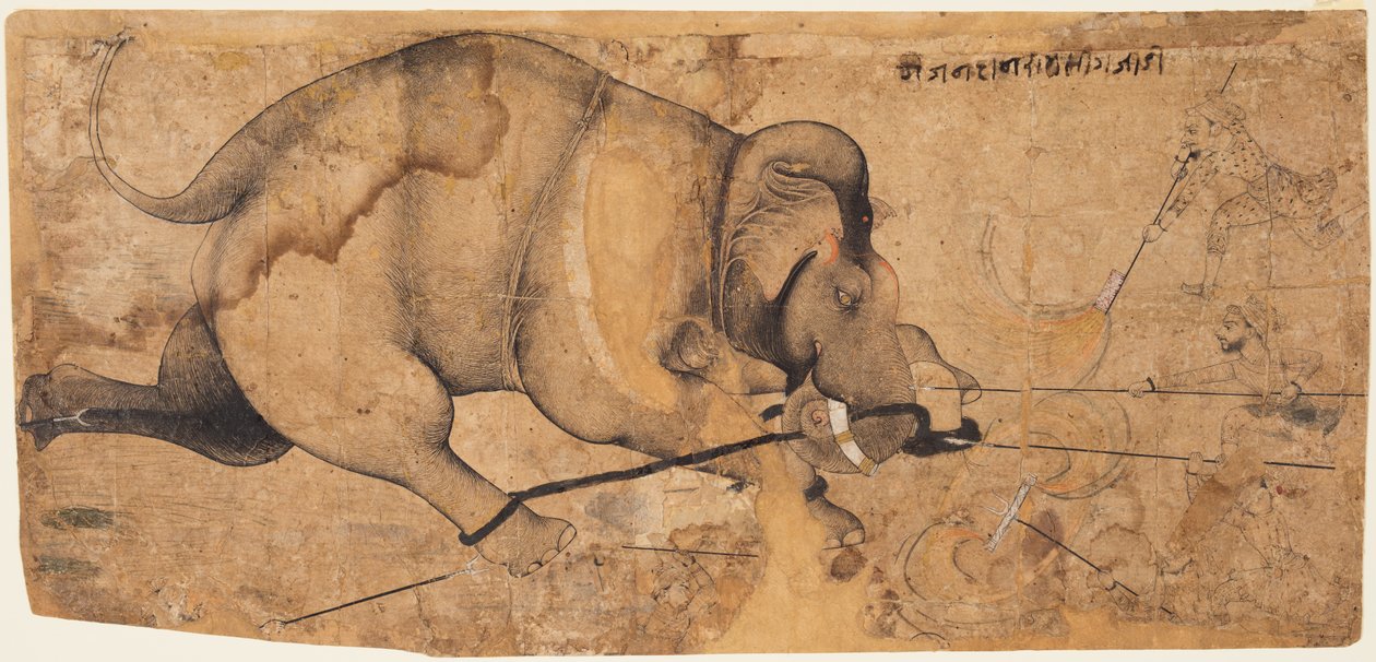 Rao Ram Singhs Elephant Gone Amok, ca. 1700. af Unbekannt