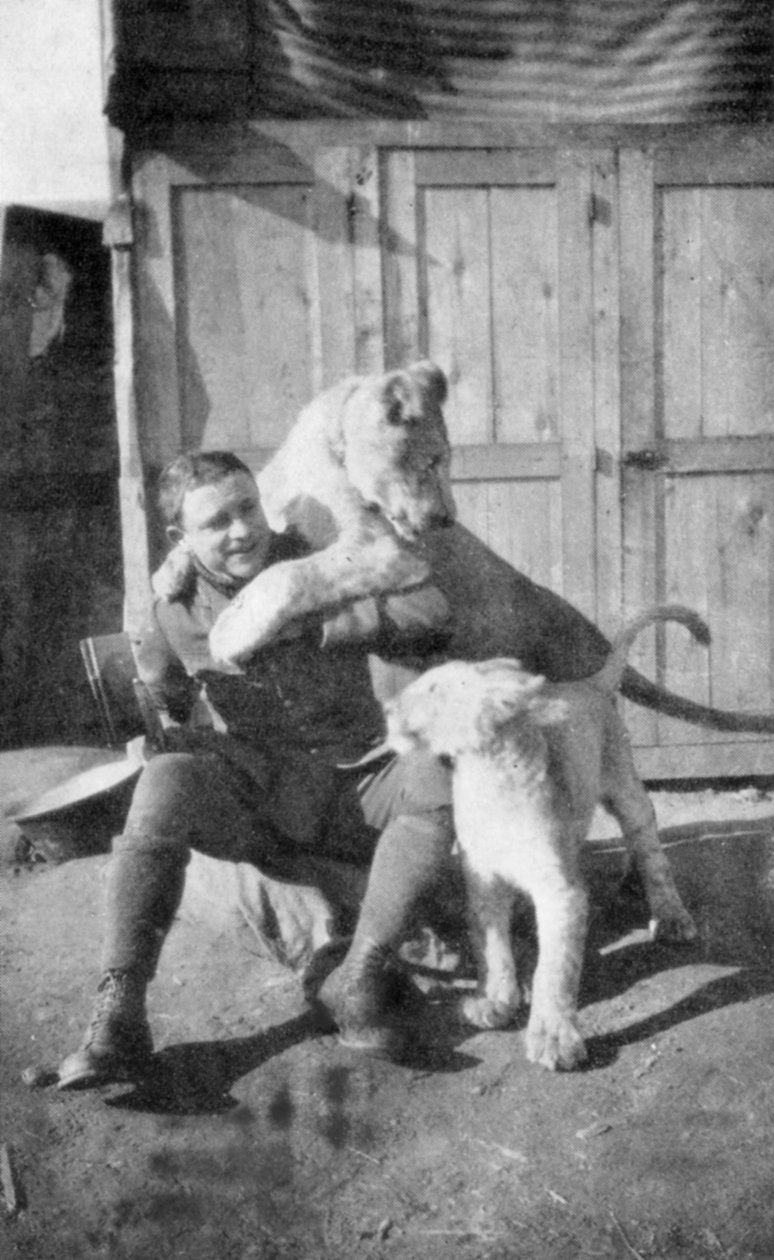 Raoul Lufbery, fransk-amerikansk jagerpilot og flyvende es fra Første Verdenskrig, 1917 af Unbekannt