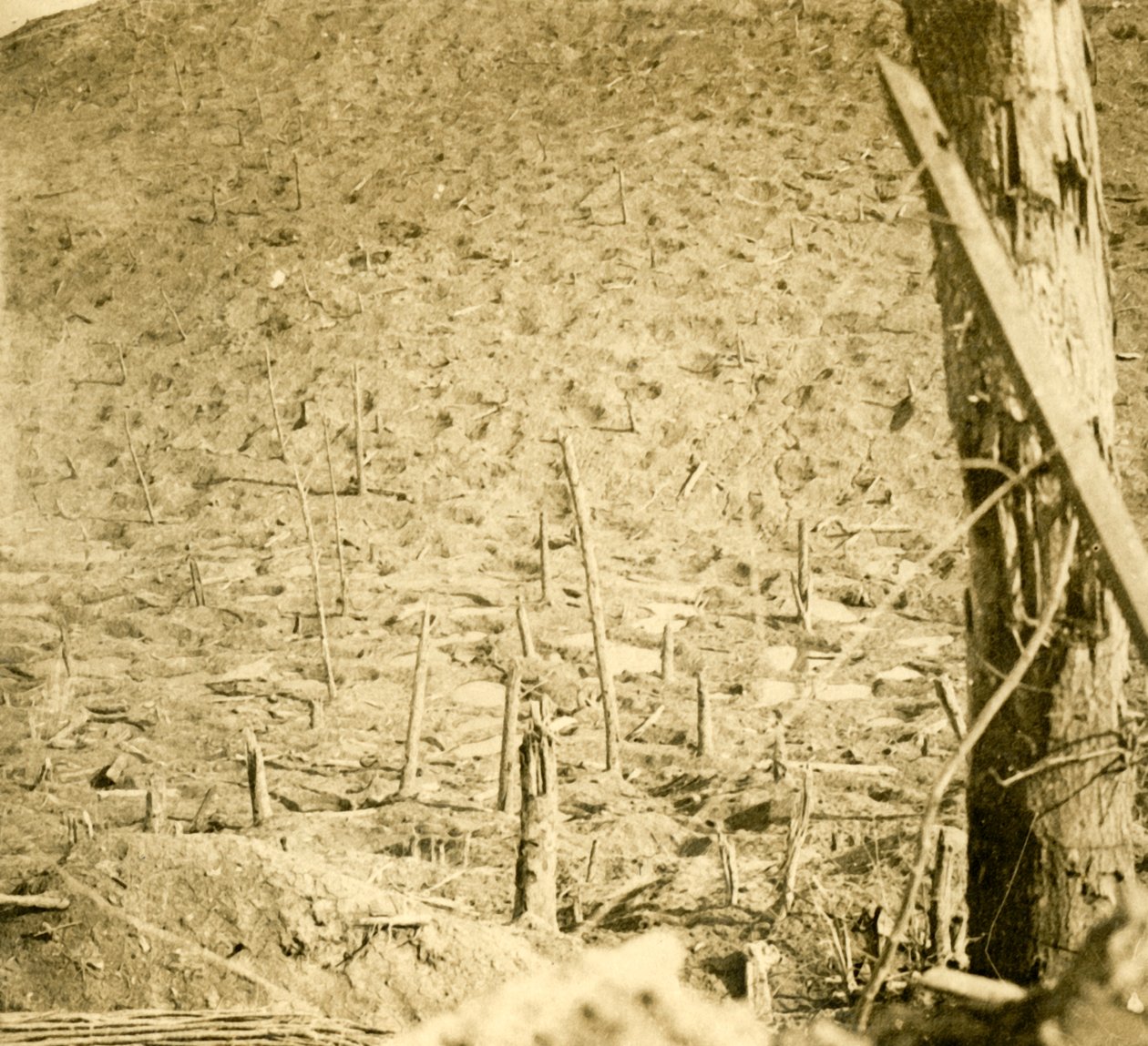 Kløften ved Les Éparges, Nordfrankrig, c1914-c1918. af Unbekannt