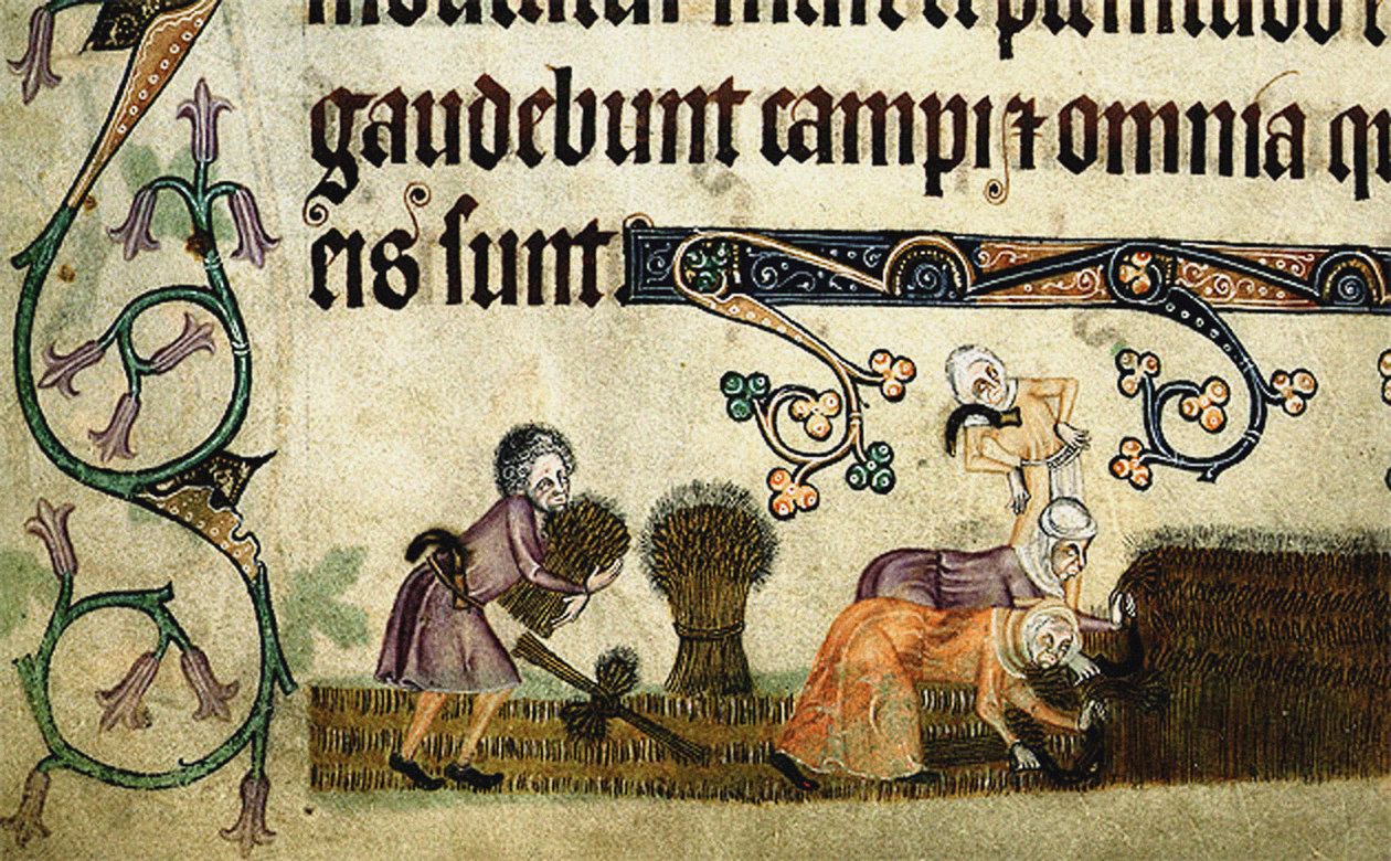 Høste og binde skiver fra Luttrell Psalter, ca 1330 af Unbekannt
