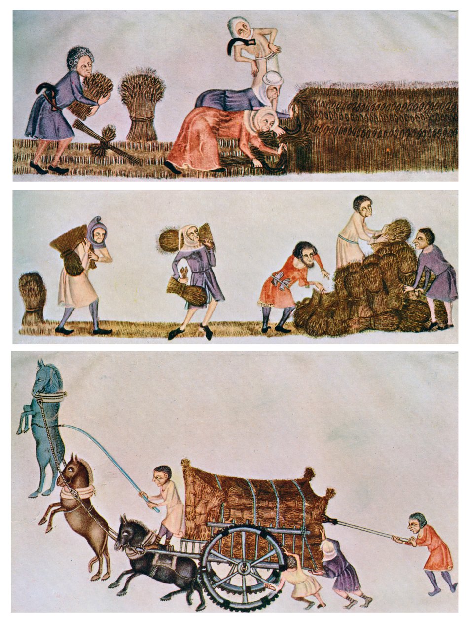 Høste, bære og køre, c1300-1340, c1900-1920 af Unbekannt